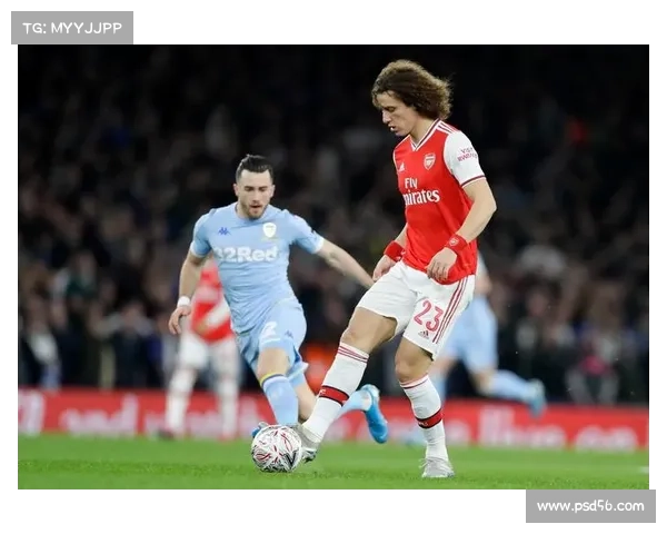 大卫路易斯的足球位置解析及其在场上角色的多样性